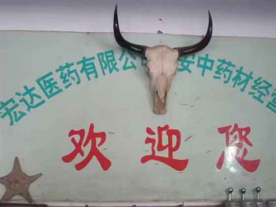 发展历程