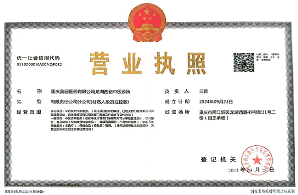 发展历程