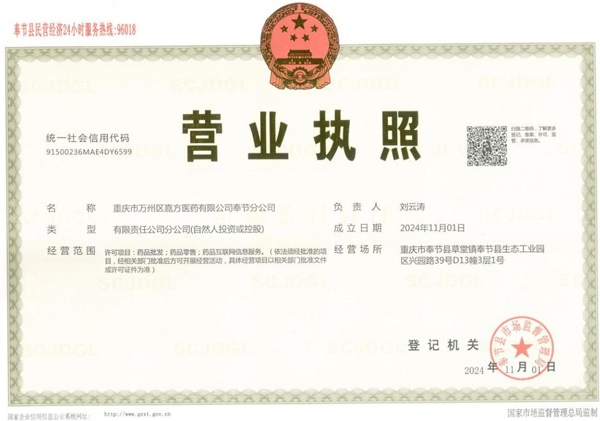 发展历程
